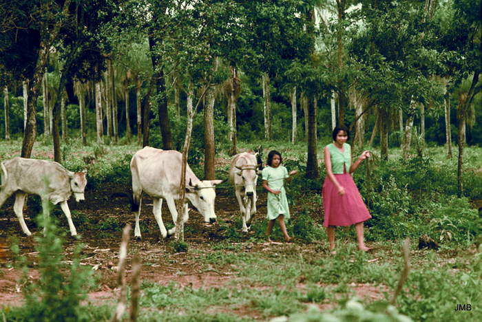 AÑO 1982 - COLOR - VIDA CAMPESINA EN PARAGUAY (JOSÉ MARÍA BLANCH)
